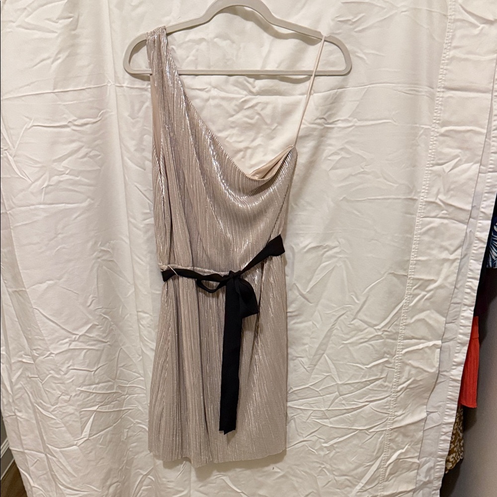 Express One-Shoulder Metallic Dress with Black Tie